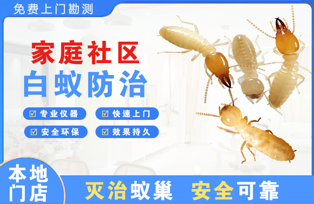 龙华家庭社区白蚁防治