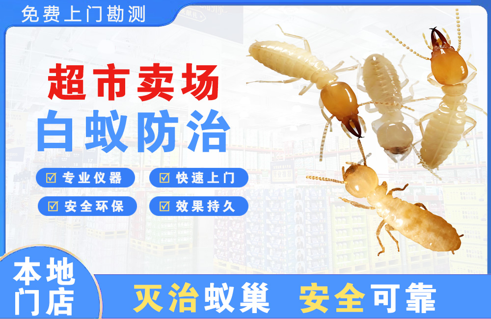 龙华超市卖场白蚁防治