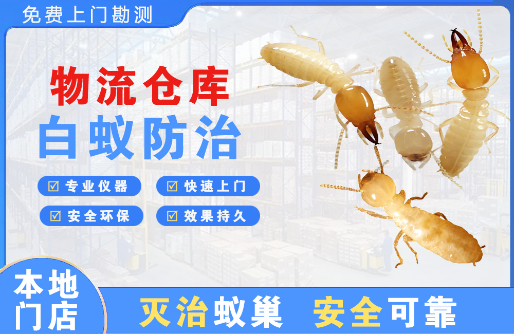 龙华物流仓库白蚁防治