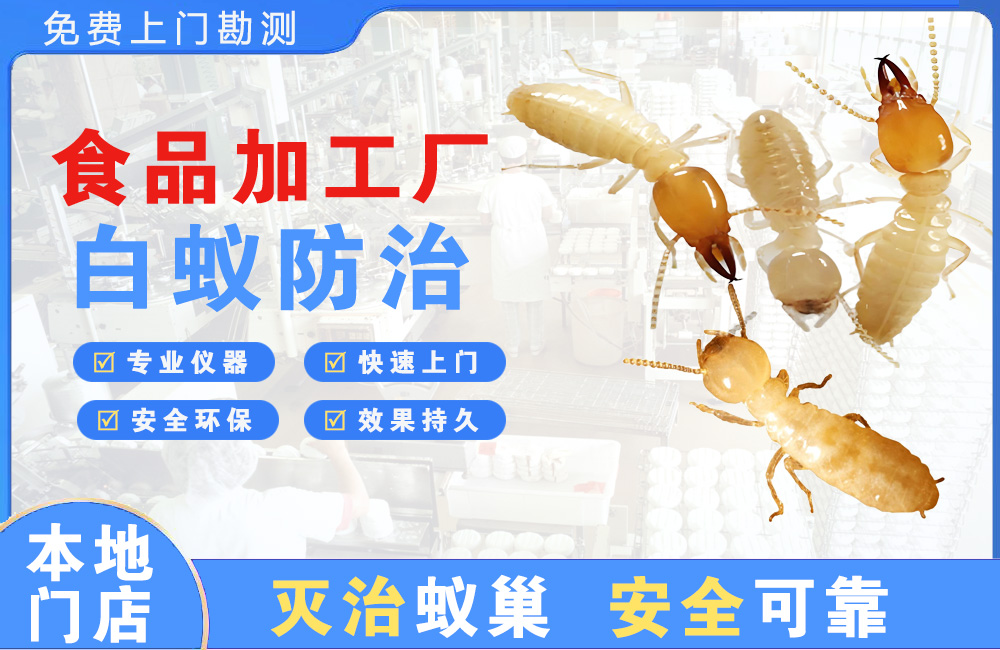 龙华食品加工厂白蚁防治