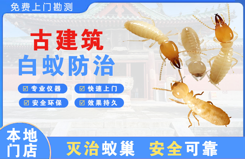 龙华古建筑白蚁防治