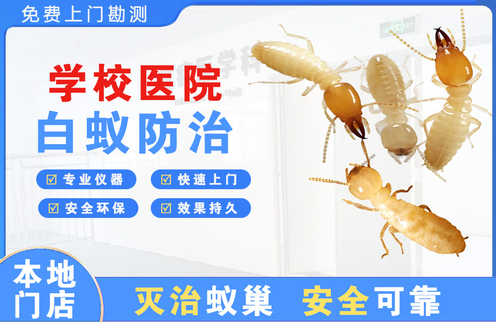 龙华学校医院白蚁防治