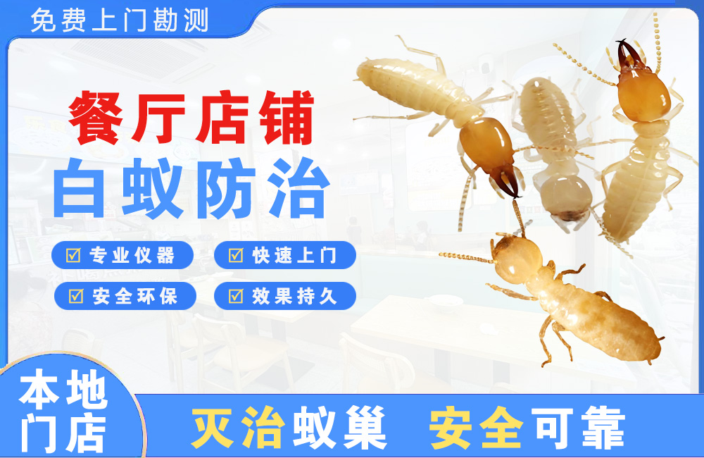 龙华餐厅店铺白蚁防治